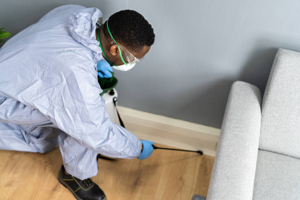 Best Indoor Pest Control  in River Forest, IL